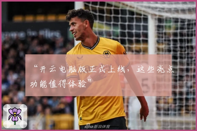 “开云电脑版正式上线，这些亮点功能值得体验”