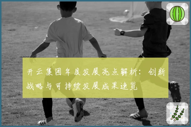 开云集团年度发展亮点解析：创新战略与可持续发展成果速览